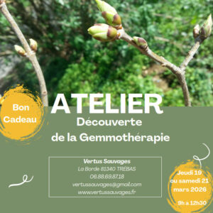 Bon cadeau Atelier Découverte de la Gemmothérapie